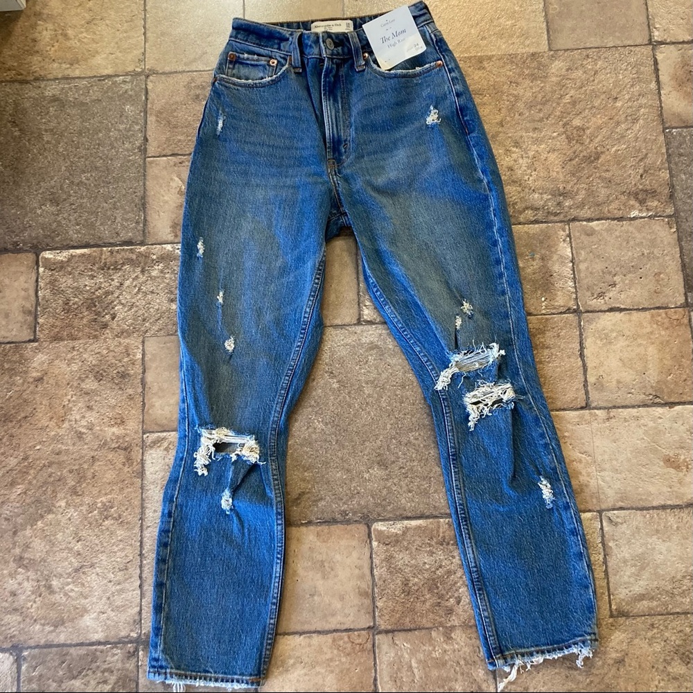 Abercrombie & Fitch Curve Love Mom High Rise Jeans